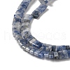 Natural Blue Spot Jasper Beads Strands G-Z045-A08-01-4