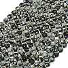 Natural Snowflake Obsidian Beads Strands G-C116-A78-02-2