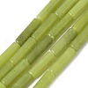 Natural TaiWan Jade Beads Strands G-NH0041-A01-01-2