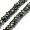 Dyed Natural African Turquoise(Jasper) Beads Strands G-Q167-B23-01-1