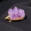 Natural Raw Amethyst Display Decoration G-PW0007-074H-1