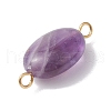 9Pcs 9 Styles Natural Rose Quartz & Green Aventurine & Amethyst Connector Charms PALLOY-JF02728-5