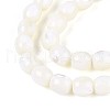 Natural Trochid Shell/Trochus Shell Beads Strands SSHEL-N040-09-3