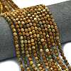Natural Picture Jasper Beads Strands G-A260-A47-01-1