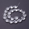 Glass Bead Strands GLAA-S003-24x20mm-14-2