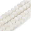 Frosted Crackle Glass Beads Strands GLAA-U001-8mm-M07-1