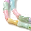 Rainbow Color Dyed Natural Freshwater Shell Beads Strands X1-SHEL-G018-02C-3
