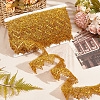 Polyester Braided Lace Ribbon SENE-WH0003-35C-5