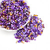Glass Seed Beads SEED-N007-13N-1
