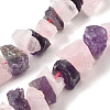 Natural Rose Quartz & Amethyst Beads Strands G-I283-F10-2