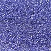 MIYUKI Delica Beads SEED-X0054-DB0243-4