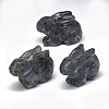 Natural Larvikite Display Decorations G-S336-10F-1