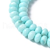 Natural Freshwater Shell Beads Strands SSHEL-C013-07B-3