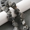 Natural Labradorite Beads Strands G-S386-B04-1