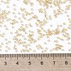 TOHO Round Seed Beads SEED-JPTR15-0002-4