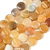 Natural Yellow Botswana Agate Beads Strands G-F790-H04-04-2