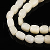 Natural White African Opal Beads Strands G-N346-04A-10-5