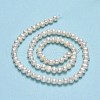 Natural Cultured Freshwater Pearl Beads Strands PEAR-F018-13D-01-3