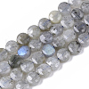 Natural Labradorite Beads Strands G-S362-025-1