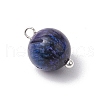 Dyed Natural Rainbow Tiger Eye Round Charms PALLOY-JF03498-02-4