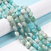 Natural Amazonite Beads Strands G-O186-B-08-4