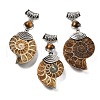 Natural Tiger Eye Fossil Snail Pendants G-F062-13-1