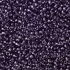 TOHO Round Seed Beads SEED-XTR11-0019-2