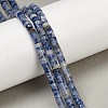 Natural Blue Spot Jasper Beads Strands G-C084-D09-01-2
