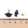 Natural Lapis Lazuli Stud Earrings EJEW-H153-01G-01-3