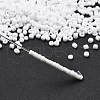 Frosted Opaque Glass Seed Beads SEED-R029-2mm-A01-4