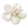 Natural Pearl & Shell Links Connector Charms PALLOY-JF02636-01-3