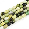 Natural Serpentine Beads Strands G-N346-02A-04-2