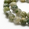 Natural Tree Agate Beads Strands X-G-K194-6mm-02-3