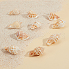 SUNNYCLUE Natural Conch Shell Beads BSHE-SC0001-02-4
