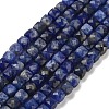 Natural Sodalite Beads Strands G-H042-A08-02-1