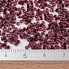 MIYUKI Delica Beads SEED-X0054-DB1751-4