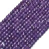 Natural Lepidolite/Purple Mica Stone Beads Strands G-A260-A04-01-2
