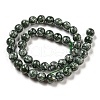 Natural Seraphinite Beads Strands G-E557-22C-01-2