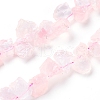 Natural Rose Quartz Beads Strands G-I283-D05-1