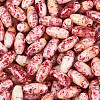 Baking Paint Glass Seed Beads SEED-N008-06C-3