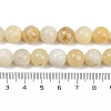 Natural Yellow Opal Beads Strands G-U026-A05-10mm-5