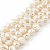 Natural Cultured Freshwater Pearl Beads Strands PEAR-A006-07B-2