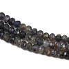 Natural Iolite Beads Strands G-RM2025-C40-3x4mm-4