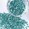 Plated Glass Seed Beads MRMJ-S034-04H-1