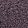 MIYUKI Round Rocailles Beads SEED-X0054-RR1088-3
