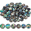 BENECREAT Paua Shell Cabochons SHEL-BC0001-018-1