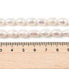 Natural Cultured Freshwater Pearl Beads Strands PEAR-I007-01C-02A-5