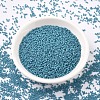 MIYUKI Delica Beads SEED-X0054-DB0798-2