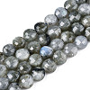 Natural Labradorite Beads Strands X-G-S354-24-A-1