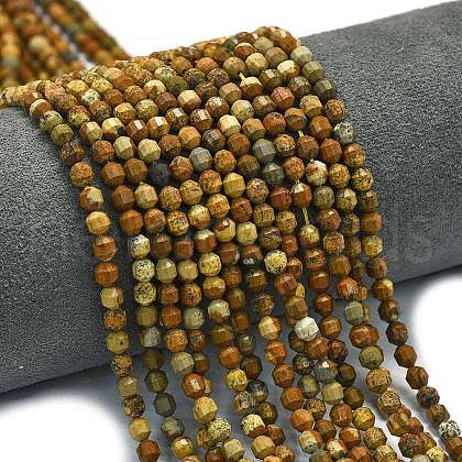 Natural Picture Jasper Beads Strands G-A260-A47-01-1